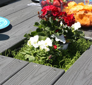 Picnic Table